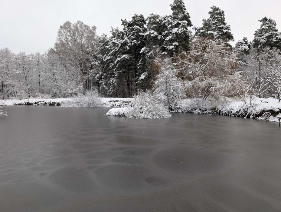 Оренда  будинку для відпочинку.Садиба ,,Верес""