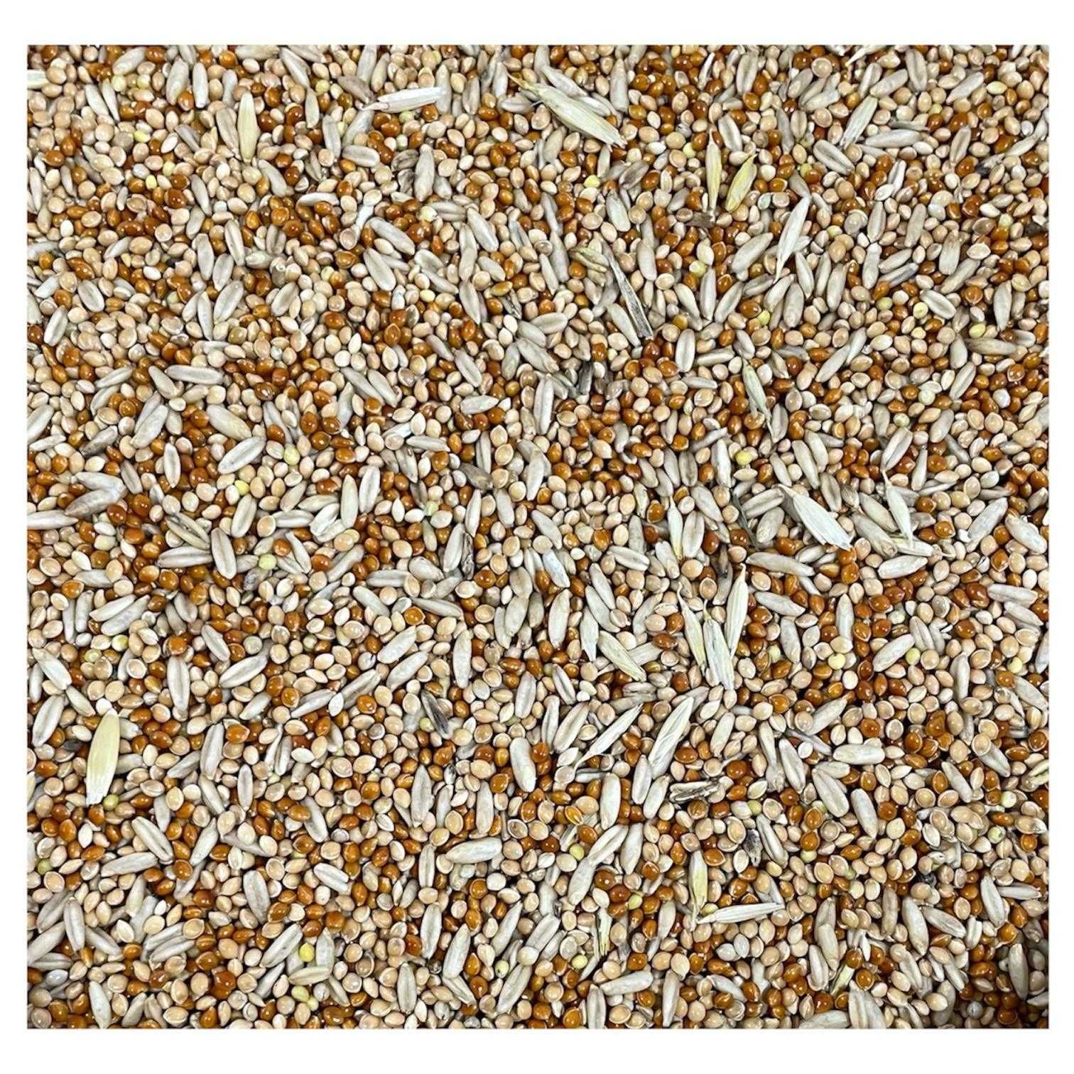 Mieszanka dla papug małych, średnich 10,20,25 KG GRATIS WYSYŁKA