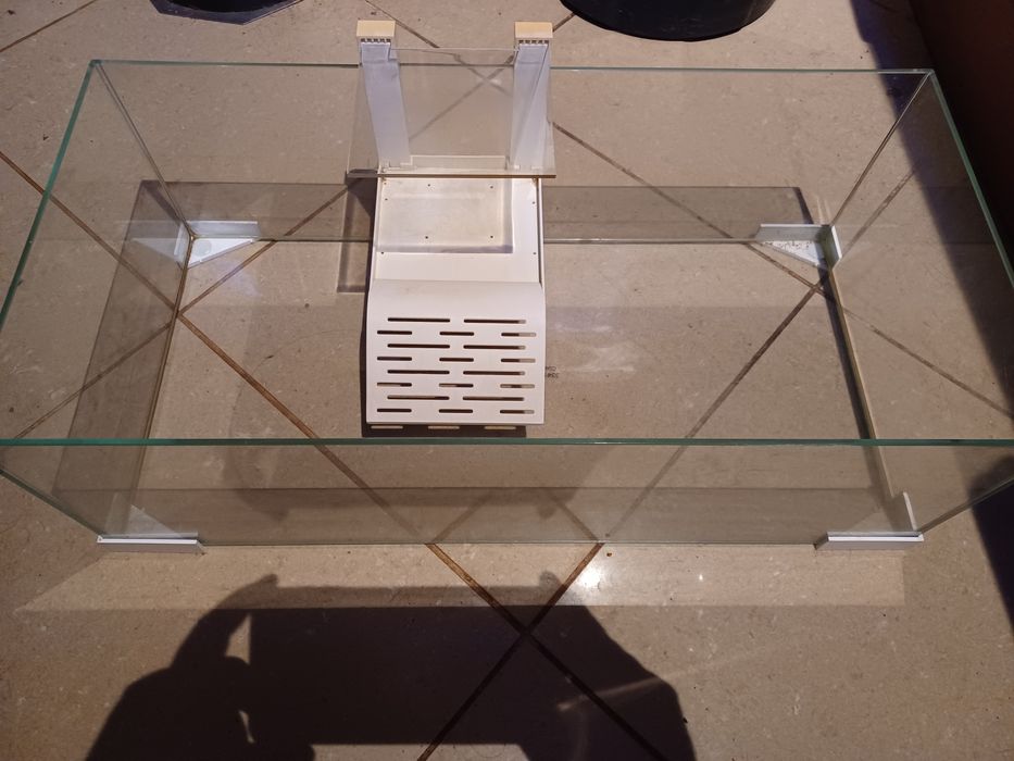 Tartarugueira em bom estado