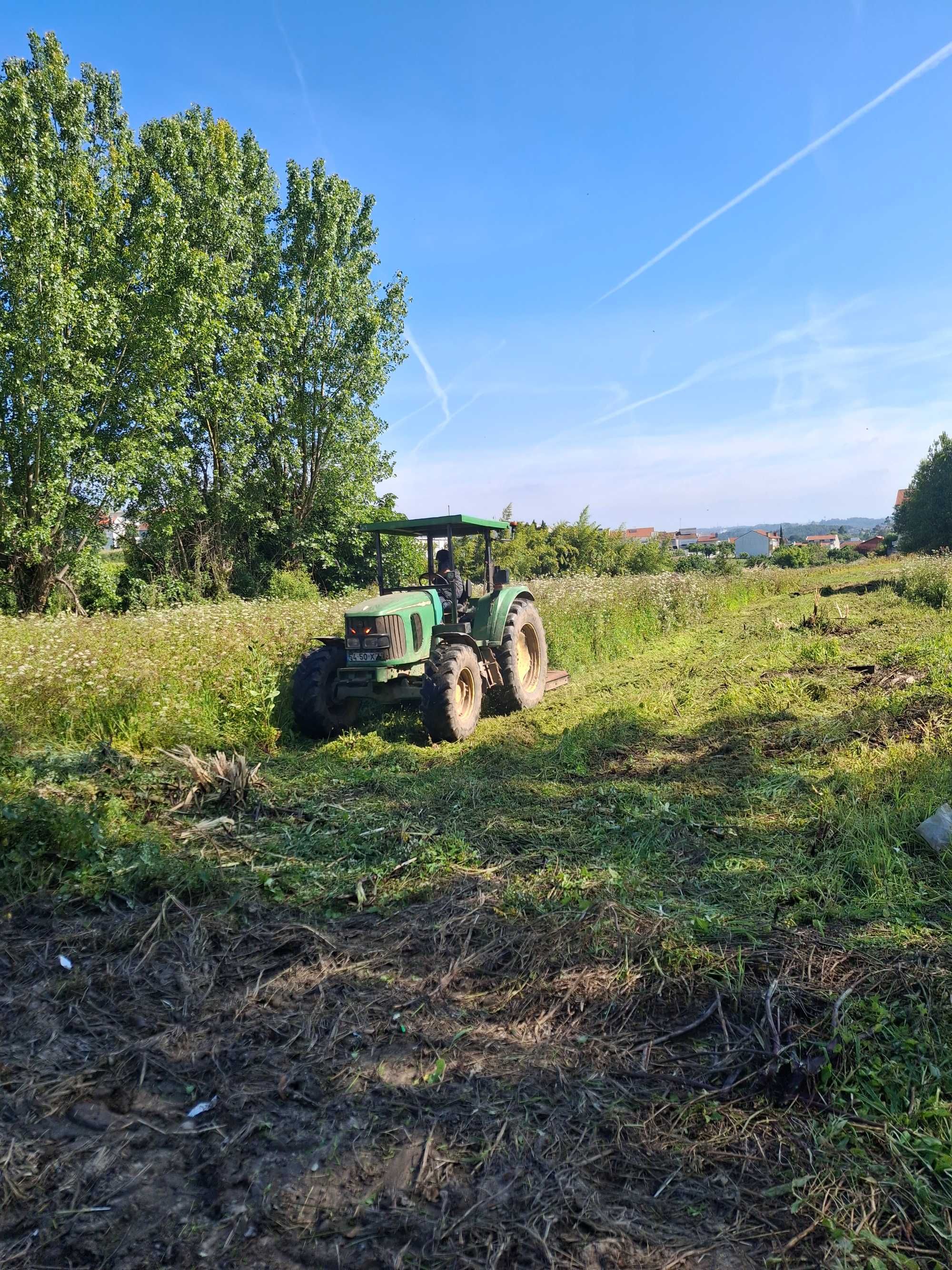 Limpeza terrenos, matas, jardins, corte, abate e  poda de árvores.