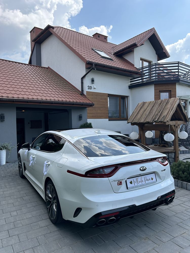 Auto do ślubu/ na wesele kia stinger