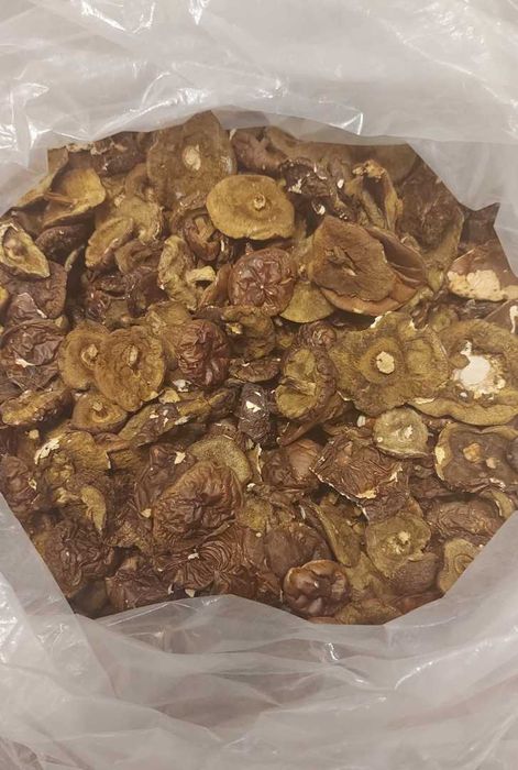 Podgrzybek suszony  kapelusze 290/kg