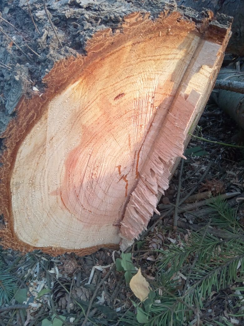 Drewno świerkowe pocięte 100-140 cm, ok. 4 mb