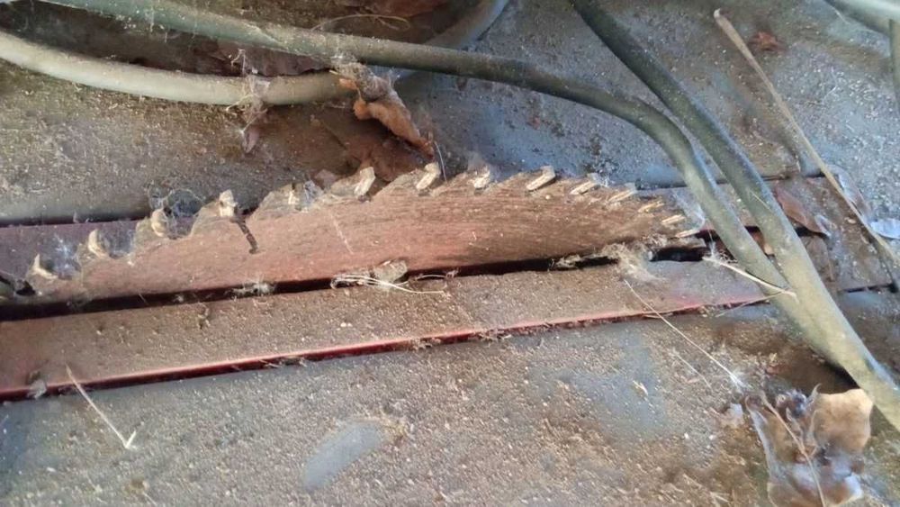 Piła krajzega do cięcia drewna