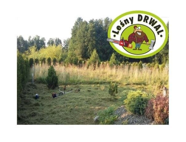 Wycinka Drzew, utylizacja zielonej masy, podnośnik koszowy, Frezowanie