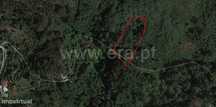Terreno para plantações com 2.400 m2 em Vila Cova