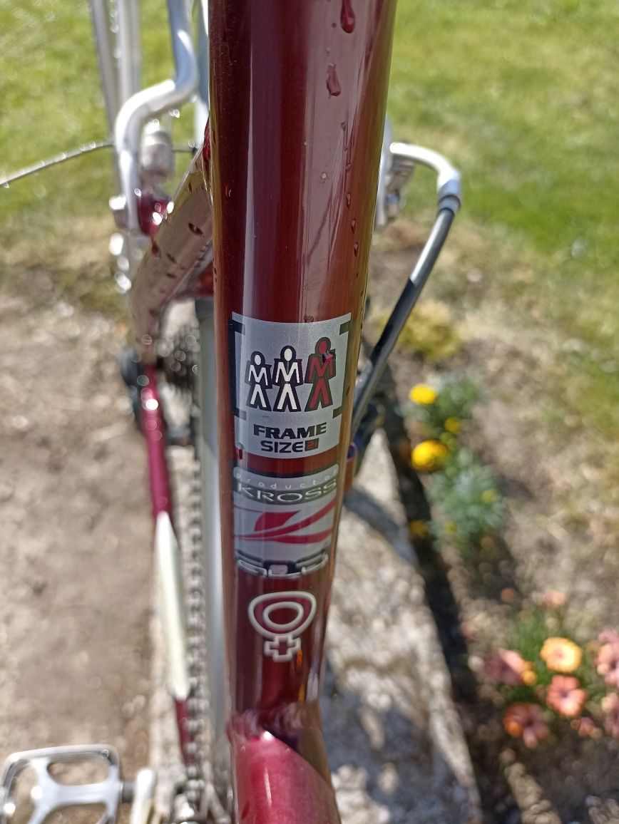 Rower trekkingowy Kross rozmiar 21 . Stan techniczny bardzo dobry. Mał