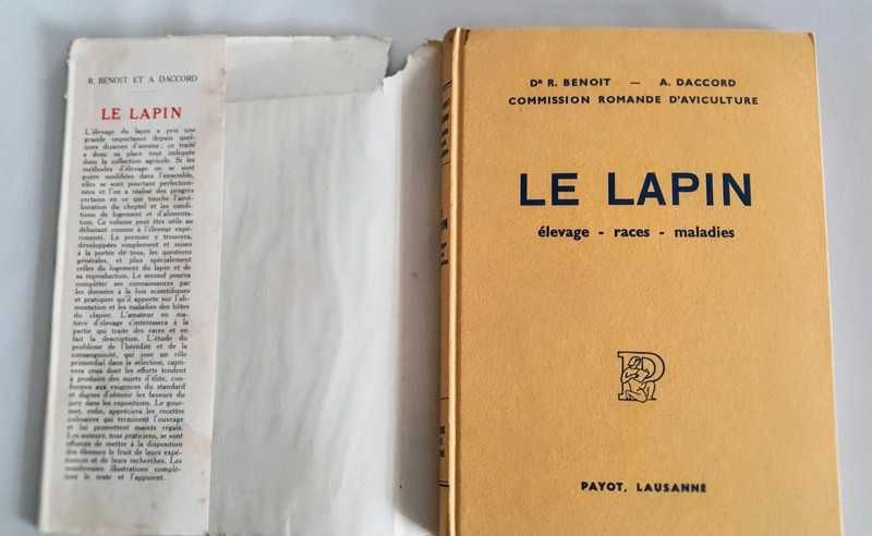 Le lapin o coelho raças e doenças