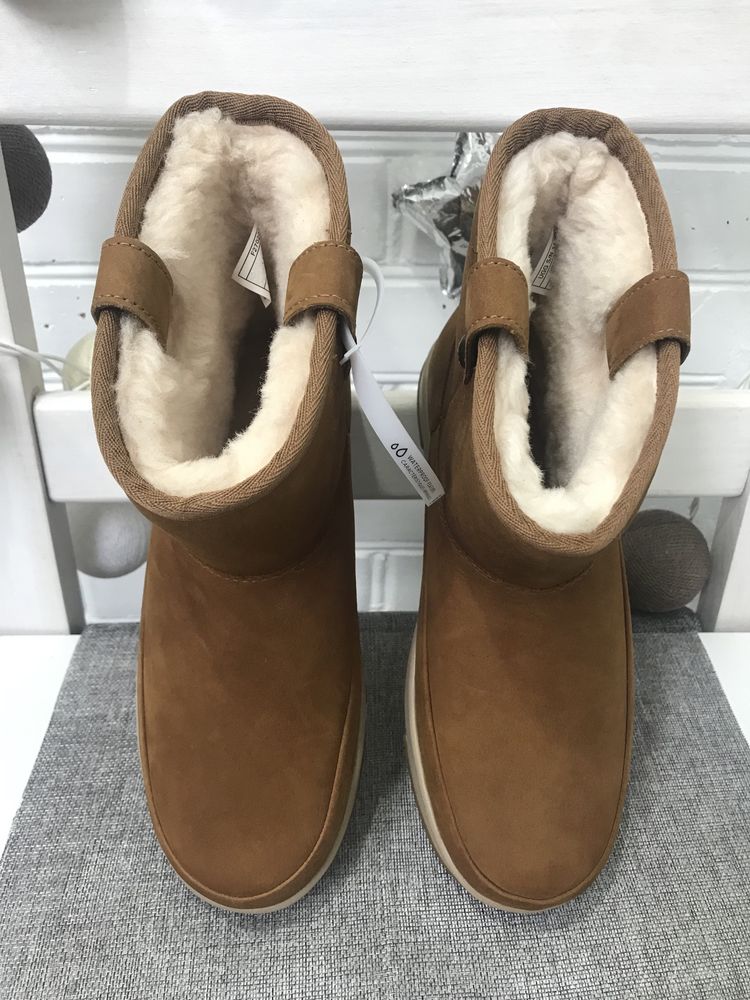 Черевики UGG Classic Weather Mini boots чоботи угг агг уггі