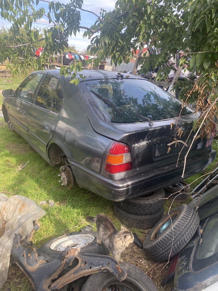 Nissan primera p10 1.6 Разборка