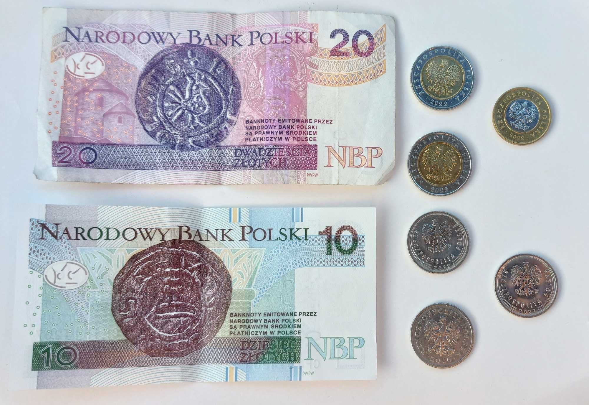 Notas e moedas zlotys correntes Polónia