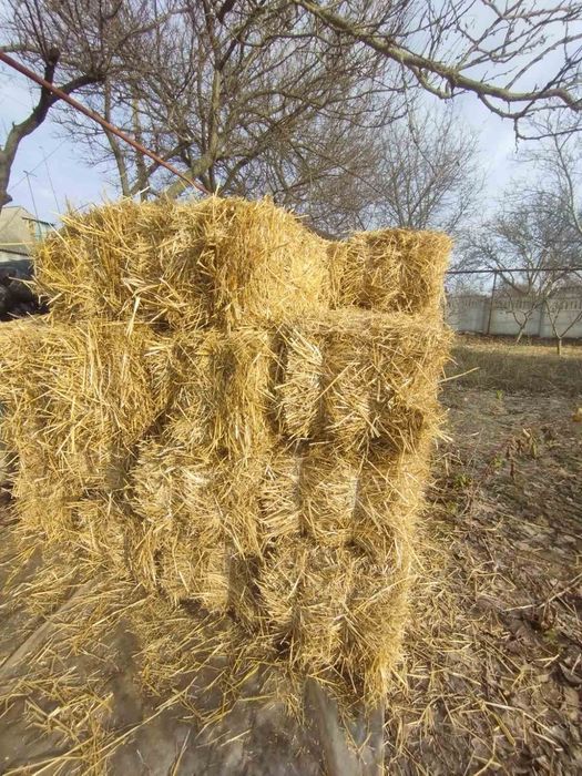 Продам солому в тюках