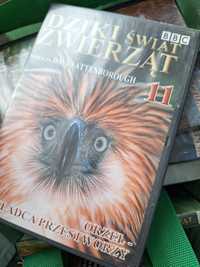 Świat dzikich zwierząt BBC dvd wszystkie czesci