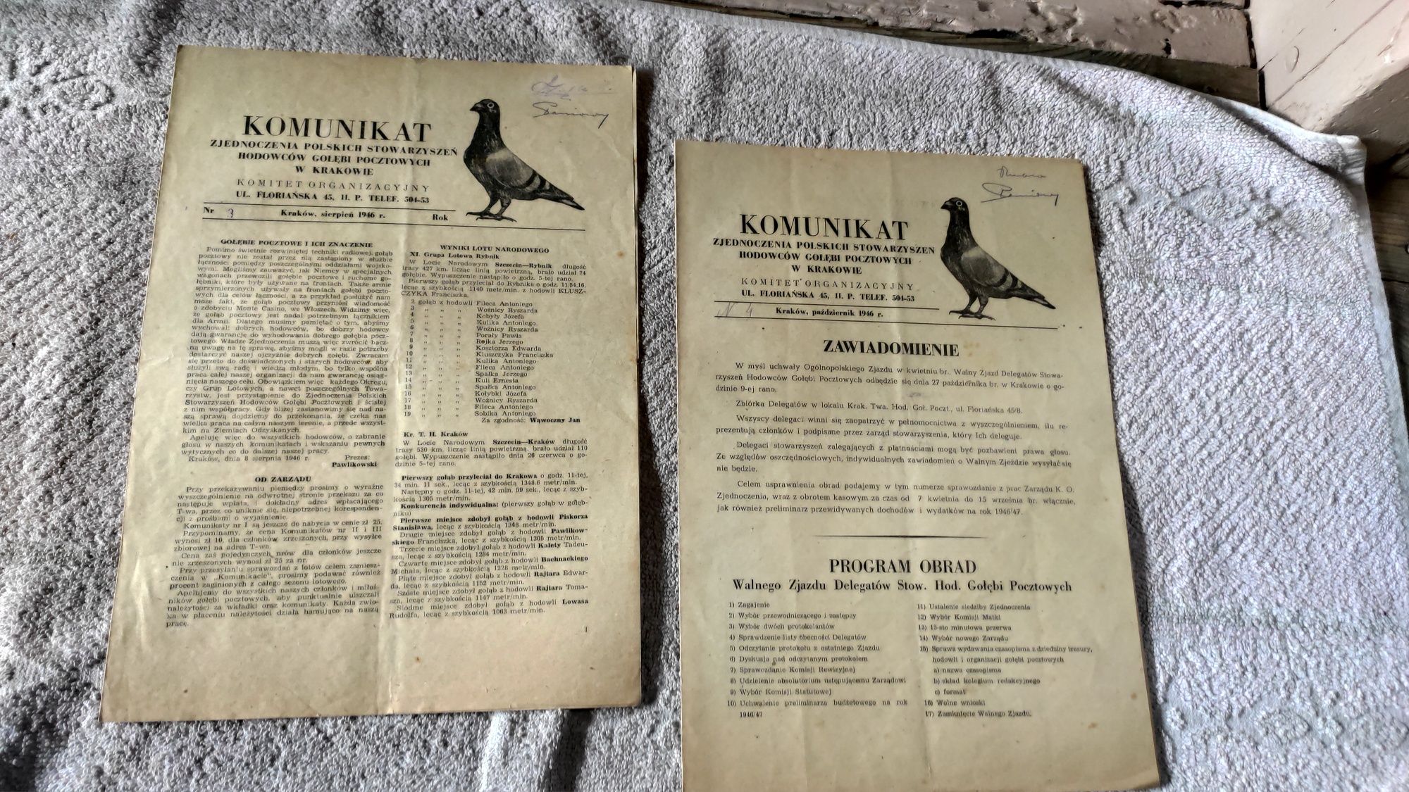 Hodowca gołębi pocztowych rok 1947.