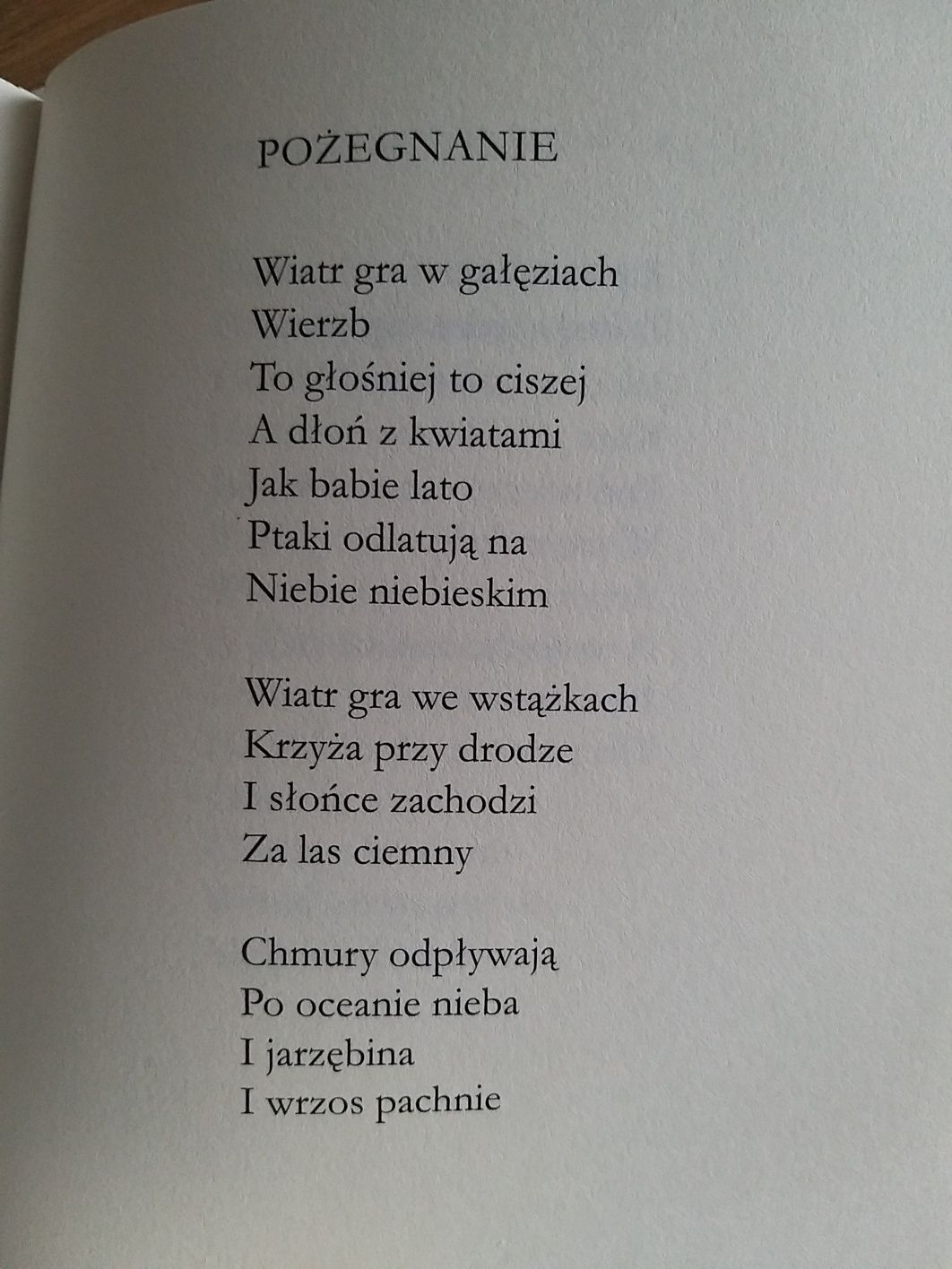 Tomik poezji ,,Między niebem a ziemią"