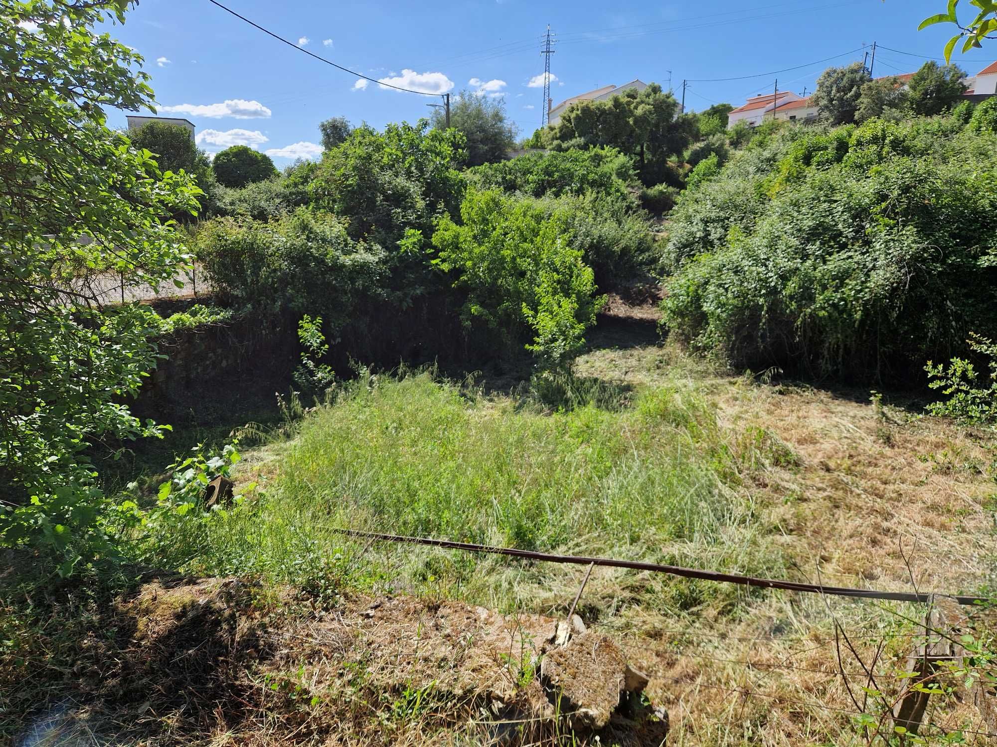 Terreno 2500 m2 - Cebolais Cima - Viabilidade de Construção