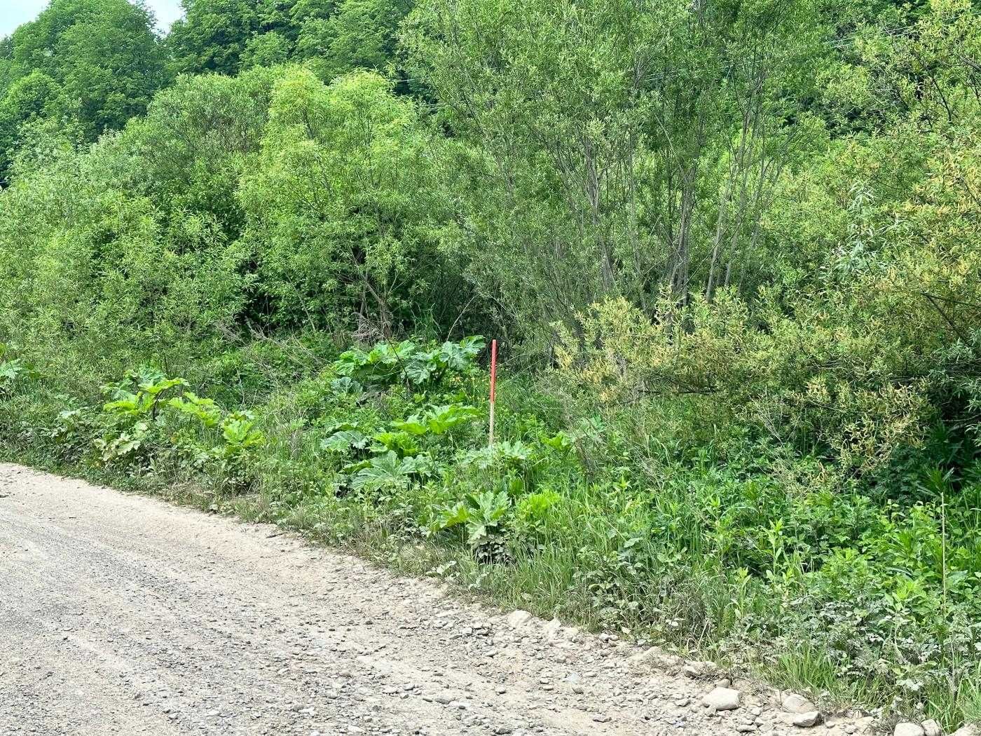 Земля, Будівництво, Верхнє Синьовидно, Львів