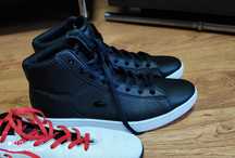 Buty Lacoste Orginal