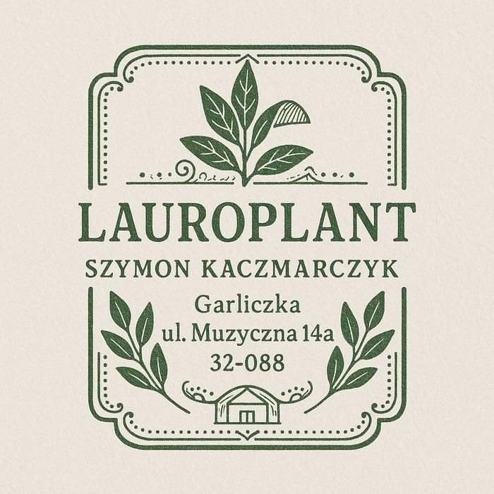 Głogownik Redrobin Photinia multiplat 104 szt