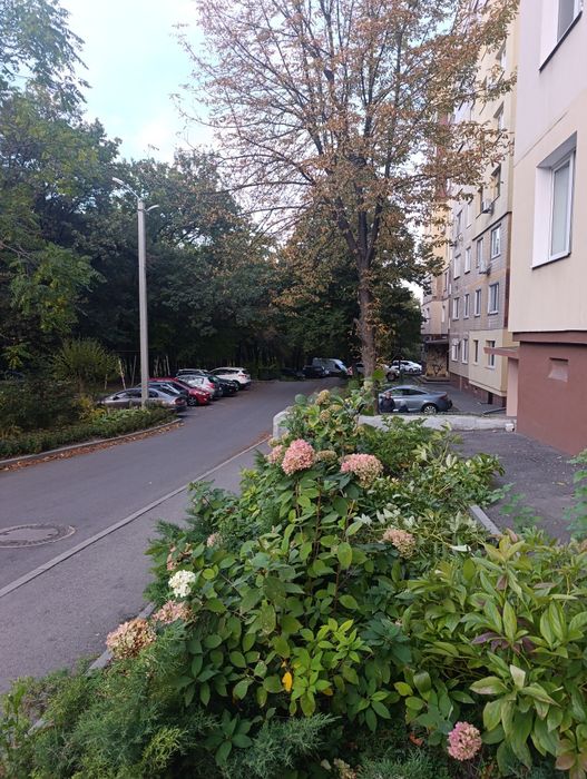 Продам 1 к  жм - Сокол - Чешка 40- м2