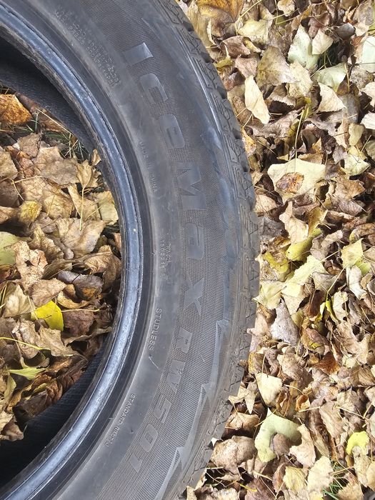 зимові шини Habilead Ice Max RW 501 2355 55 r18