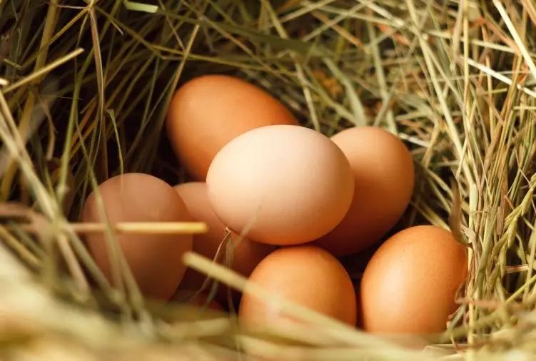 Wiejskie jaja kurze