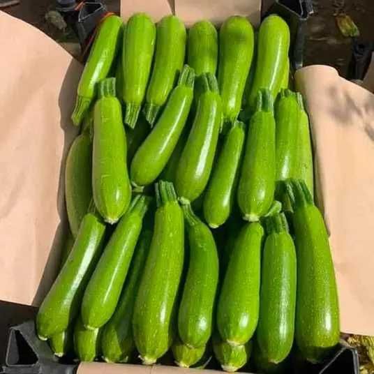 Насіння кабачків Імпорт Збір врожаю до Осені з професійної упаковки