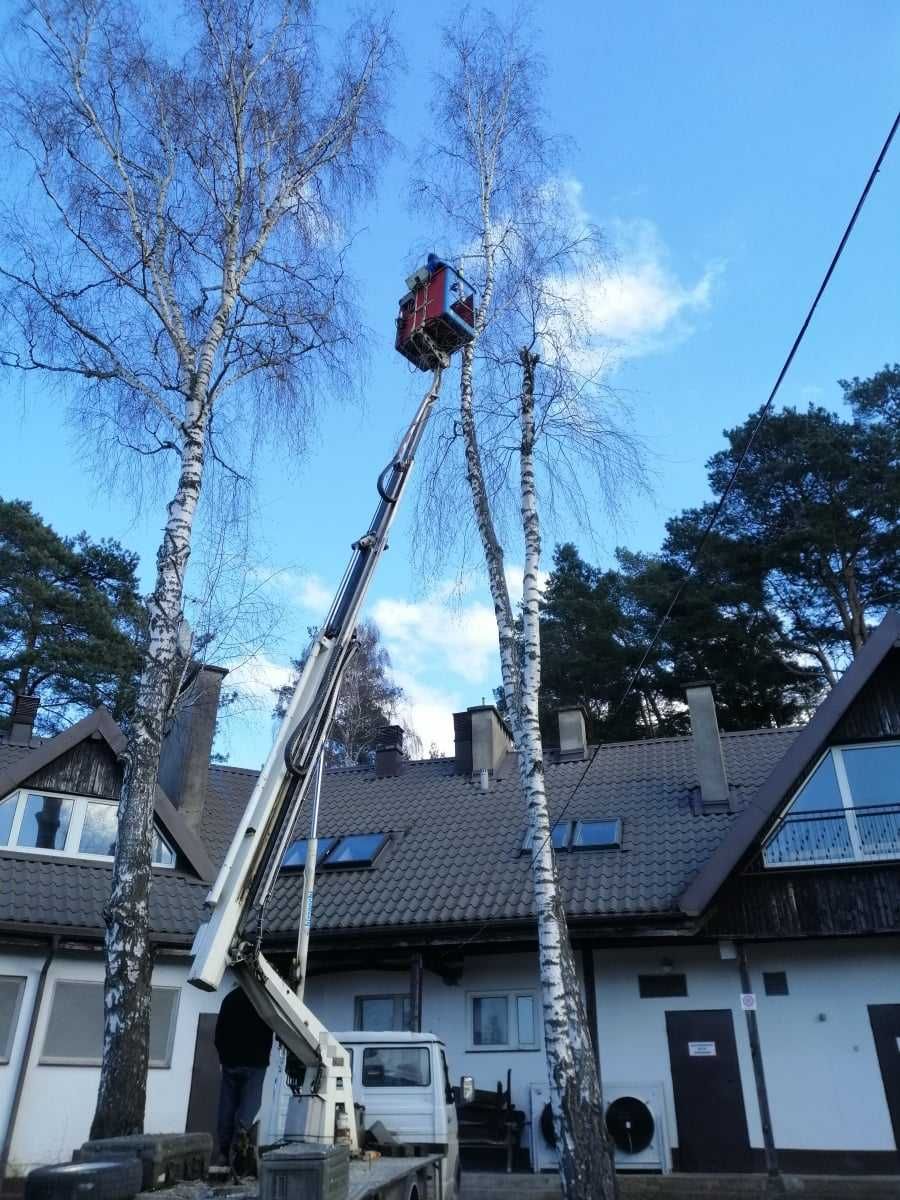 Podnośnik Koszowy zwyżka Wynajem Usługi