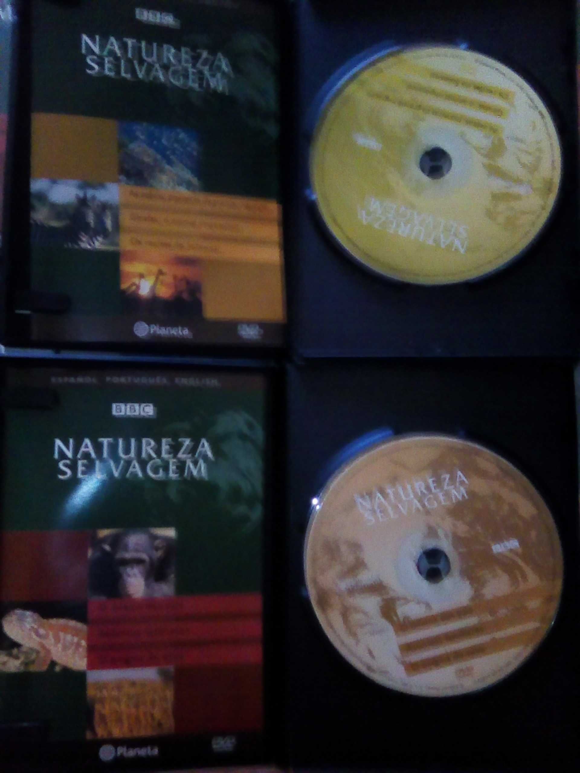 BBC Natureza Selvagem