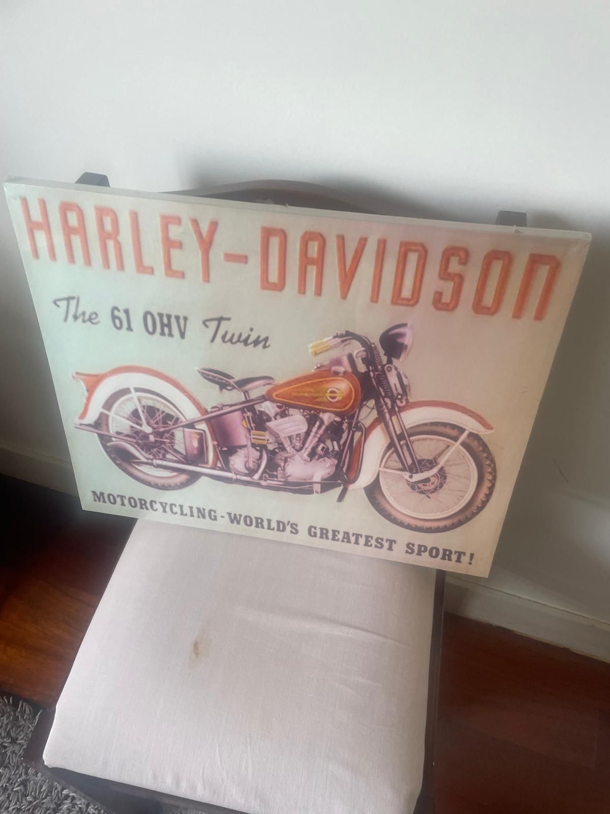 Quadros Harley Davidson NOVOS