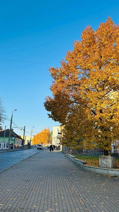 Простора двокімнатна квартира в центрі Луцька, вулиця Б. Хмельницького