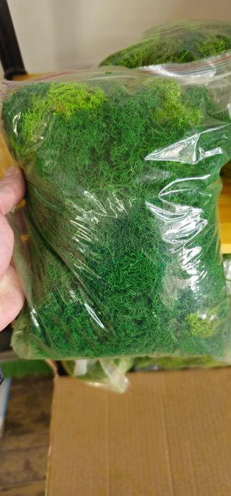 Мікс стабілізованого моху