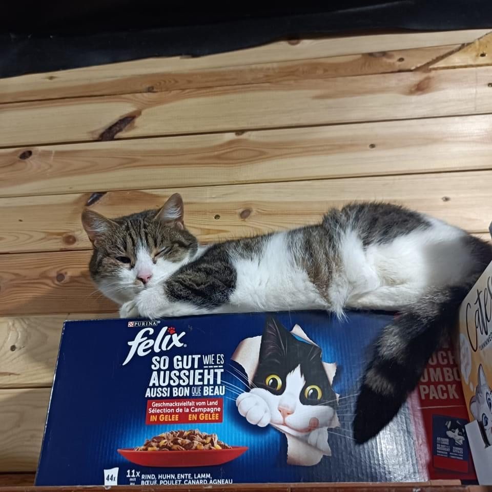 Tracimy nadzieję że ktoś ją zechce:(