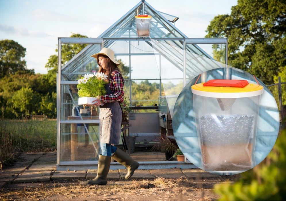 Pulapka na muchy hit!!