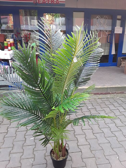 Sztuczna palma w doniczce
Cena 370 zł za sztukę. 

Palma ma