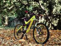 Trek session 8.8 2014