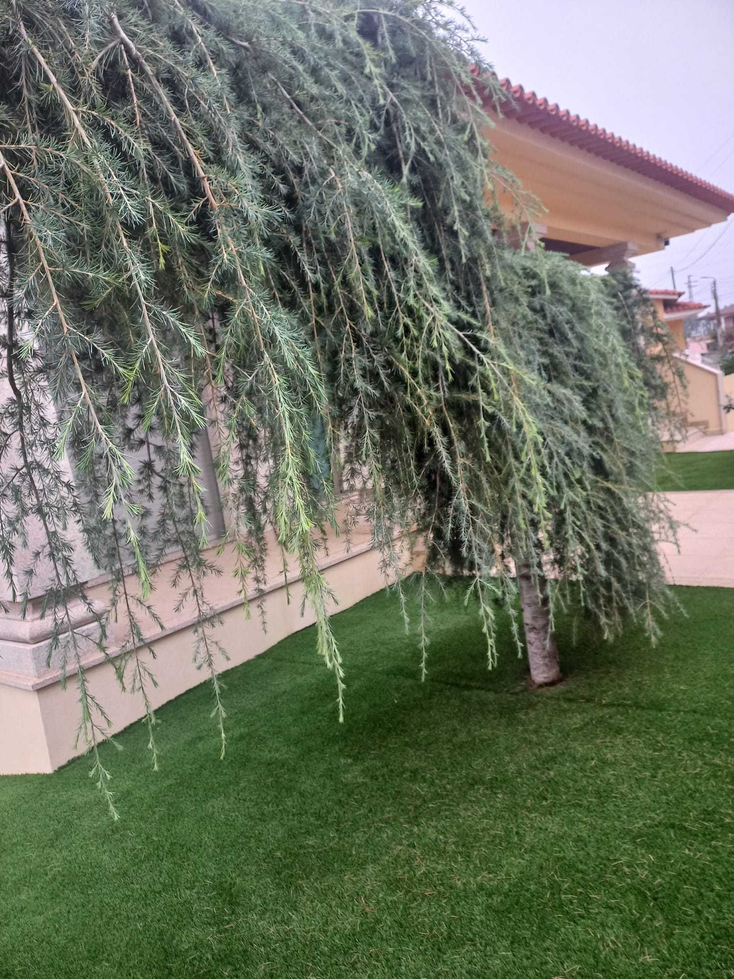 Árvore de jardim para efeitos com gosto