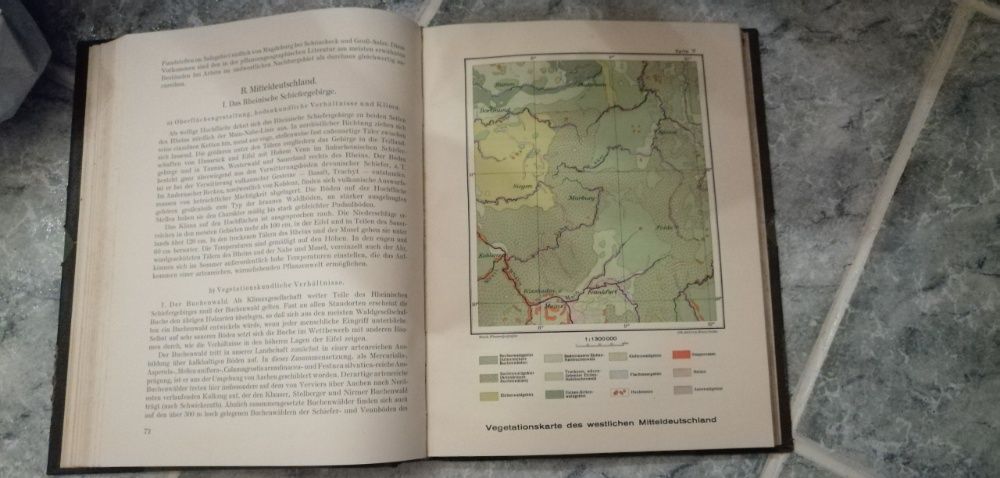 Pflanzengeographie Deutschlands 1896 r.