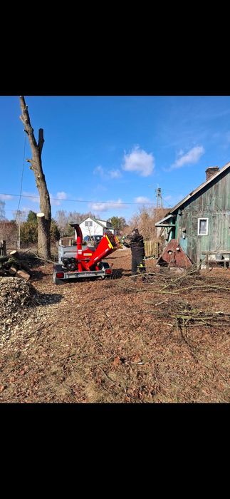 Wycinka drzew, rozdrabnianie gałęzi, metoda alpinistyczna