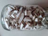 Białoporek brzozowy 200g