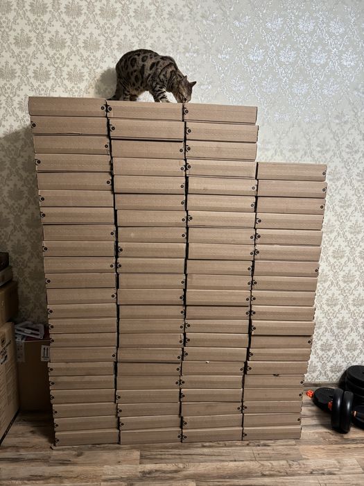 Starlink Mini, в наявності