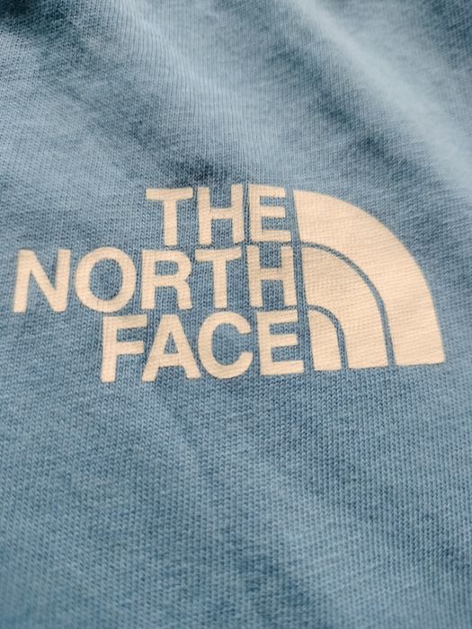 Bluzka męska sportowa The North Face