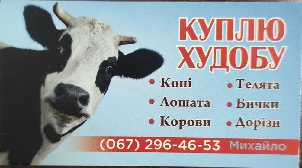 Продам корову, телят, лошат