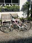 Rower Scott Contessa 50 S