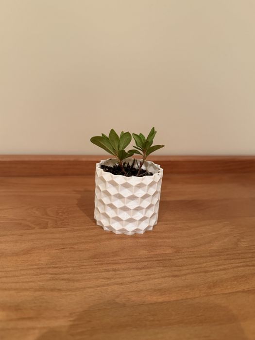 Vaso geométrico moderno impresso em PETG