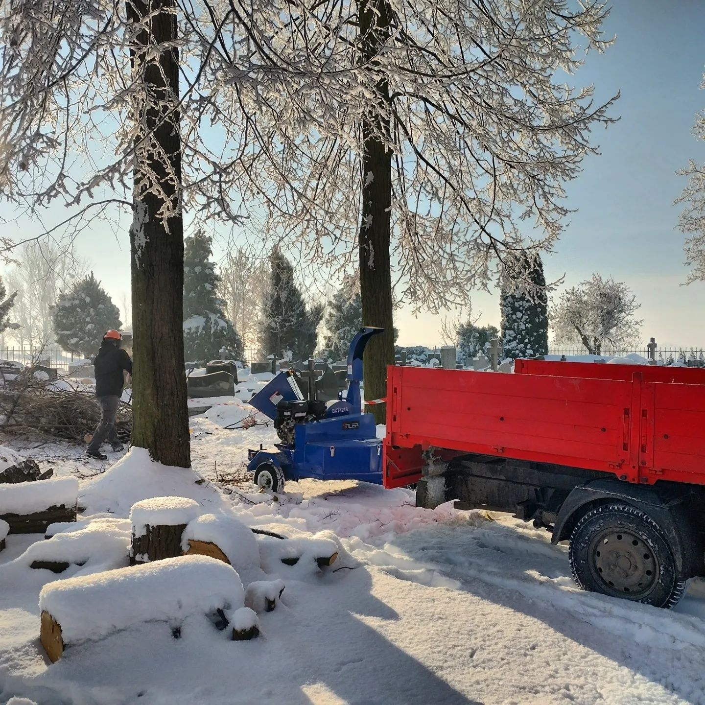 Wycinka drzew. Podnośnik koszowy. Rębak. Frezowanie Pni!