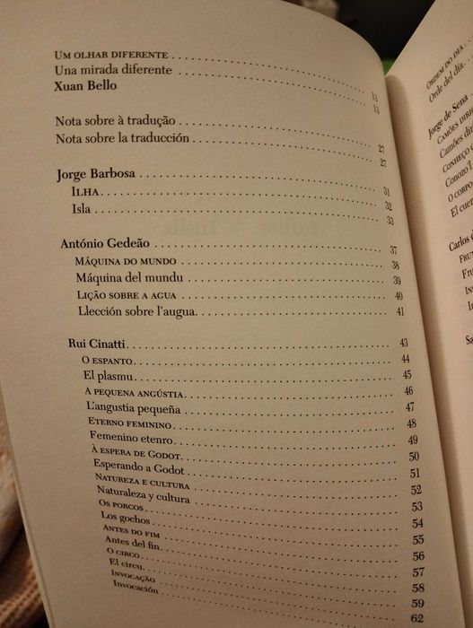 Uma olhada diversa.
Una antoloxía de la poesía portuguesa
