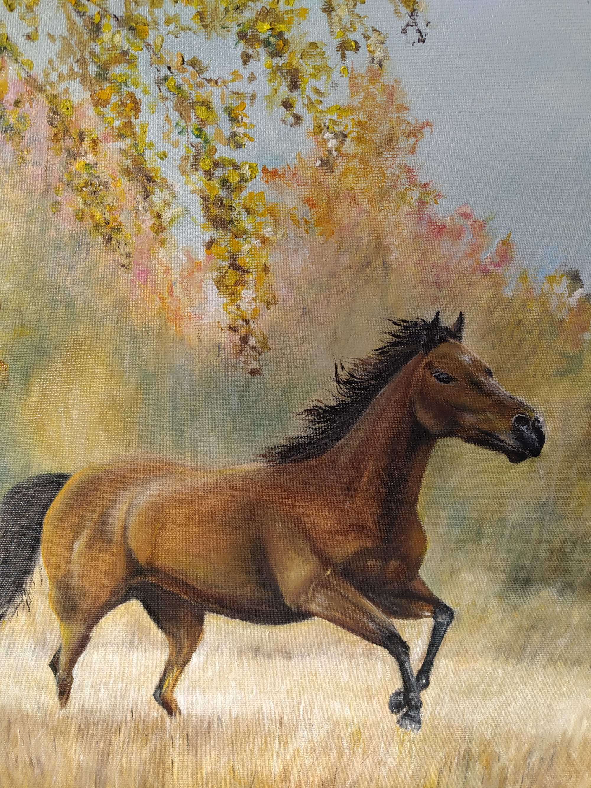 Картина олією "Кінь" 40*50см
