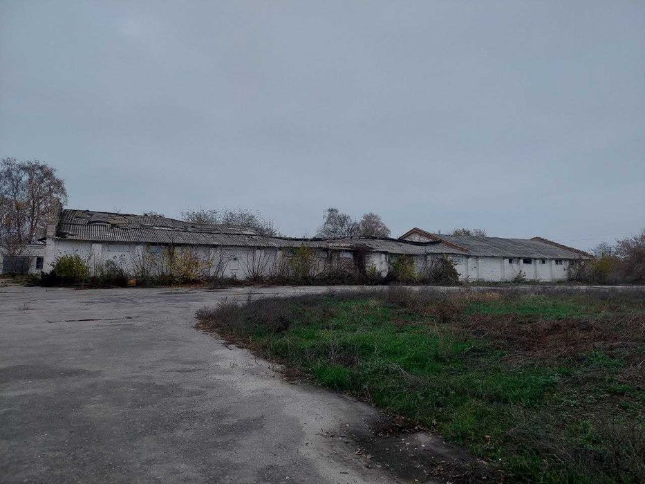 Будівлі під склади чи гаражі м Яготин Київська область