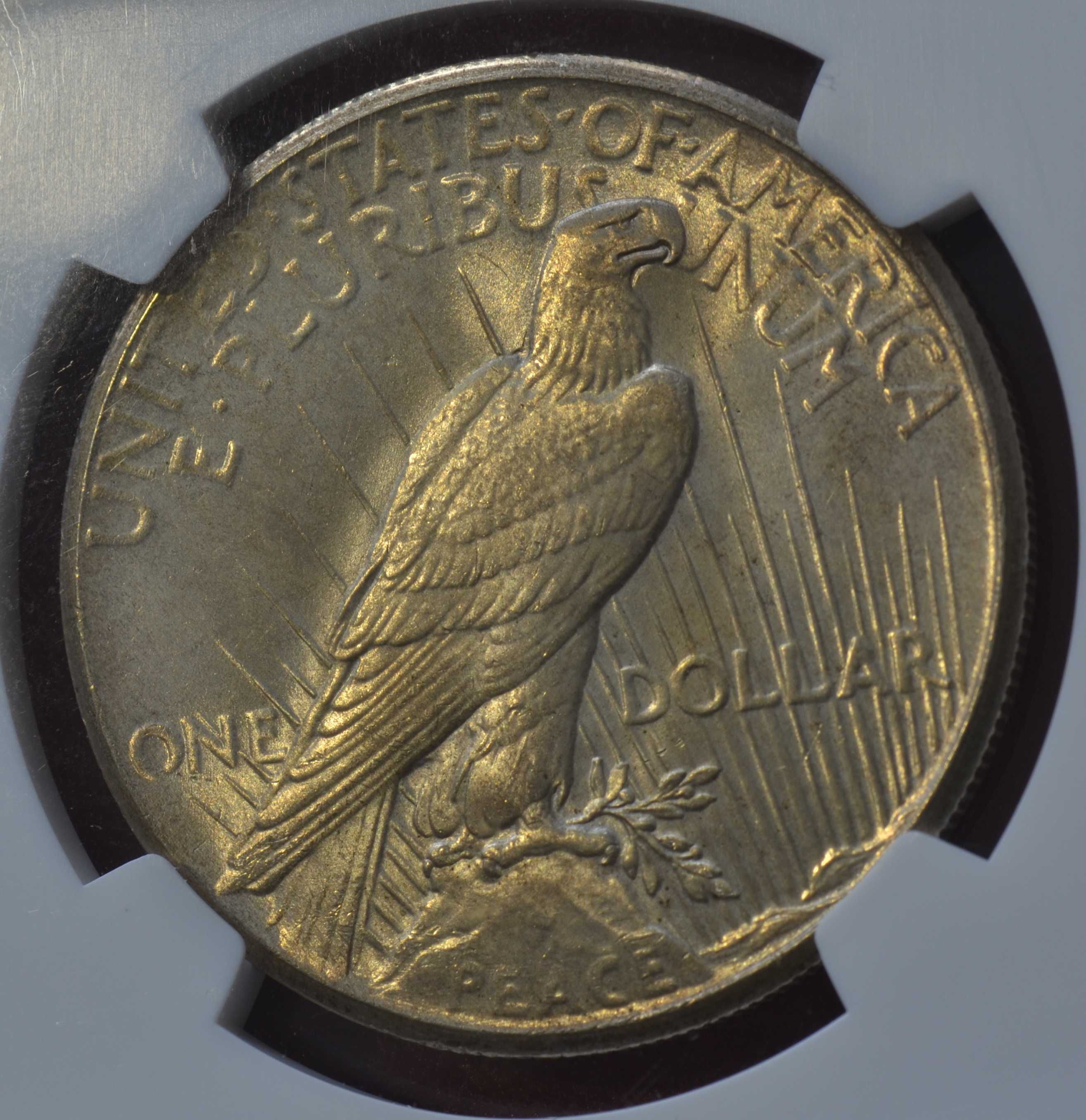 Мирний Долар/Peace Dollar 1925р, MS 65 США. Слаб NGC, Срібло